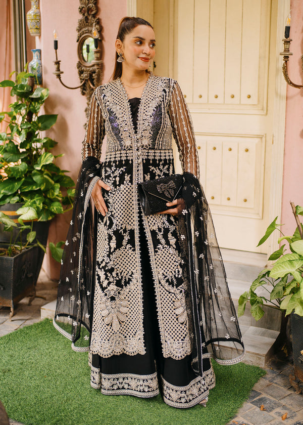 DARCY Z. - Fariha Asghar